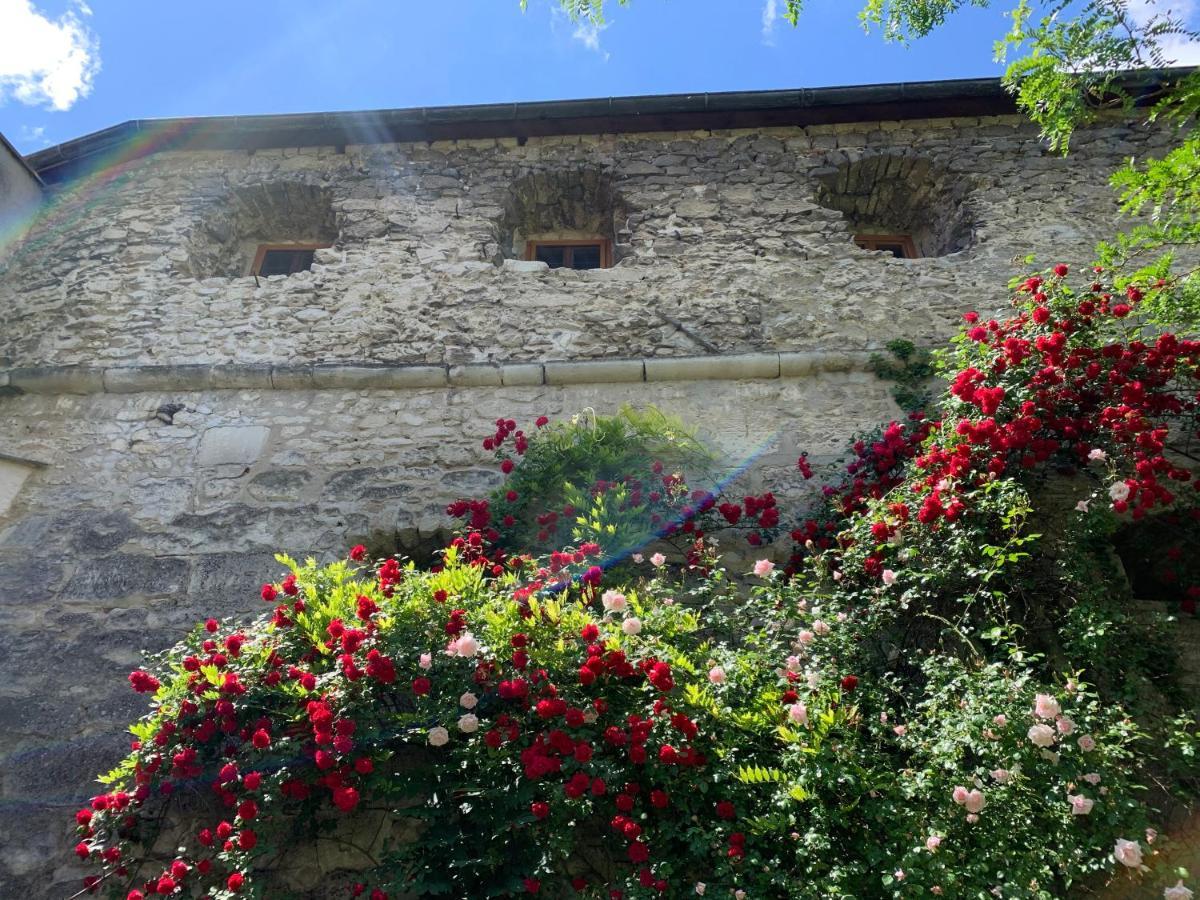 Turm Am Schlosspark Eisenstadt Exteriör bild